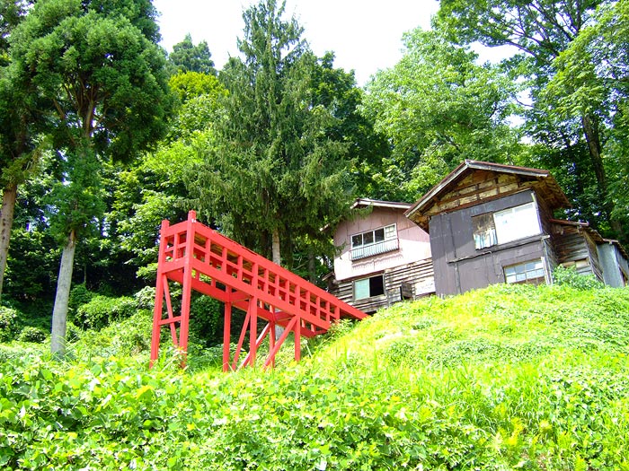 e0006242_8533917.jpg