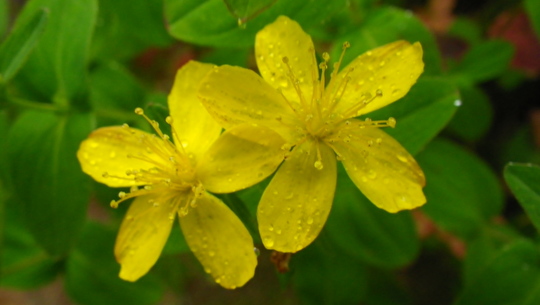 c0042847_1121516.jpg
