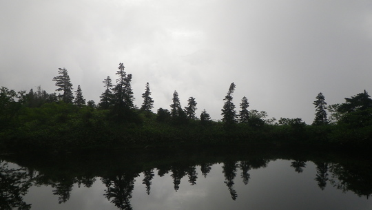c0042847_11442391.jpg