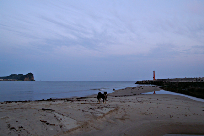 f0214649_11341711.jpg