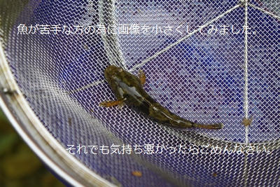 a0090451_11345896.jpg