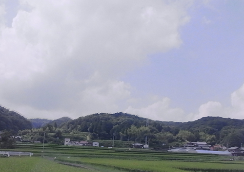 a0004752_1637250.jpg
