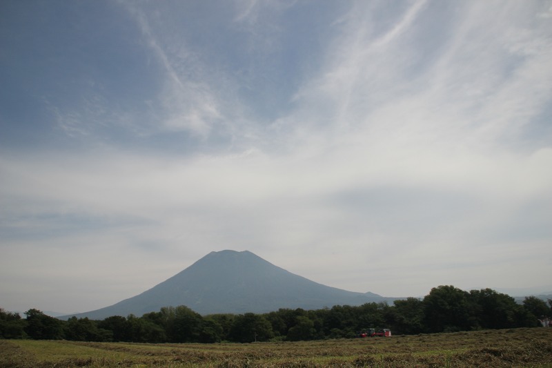 b0250154_8203169.jpg