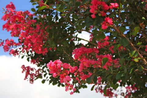 a0248459_19372961.jpg