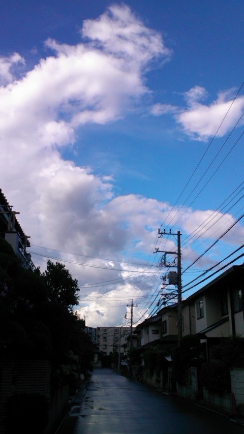 e0271461_1955151.jpg