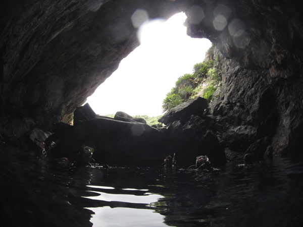 b0062363_18341482.jpg