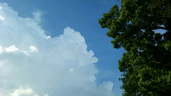a0073065_22162371.jpg