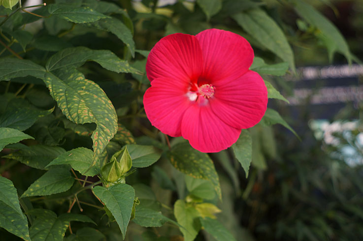 b0057679_8403647.jpg