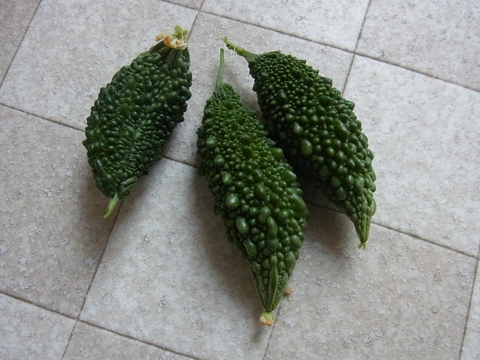 f0014980_1543773.jpg