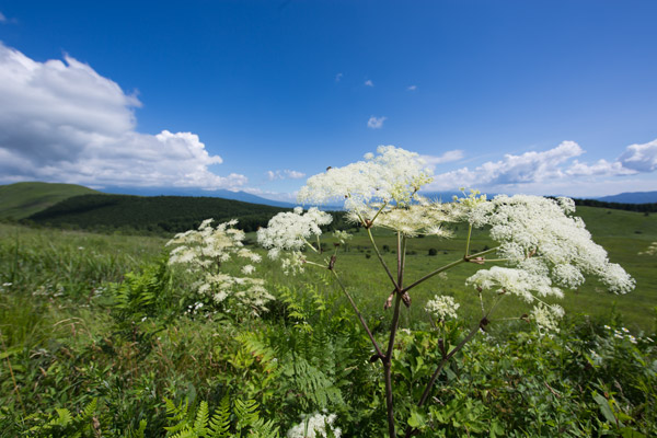 d0089281_1410437.jpg