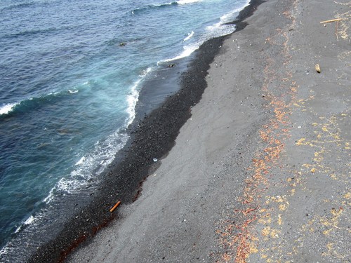 c0204385_1801047.jpg