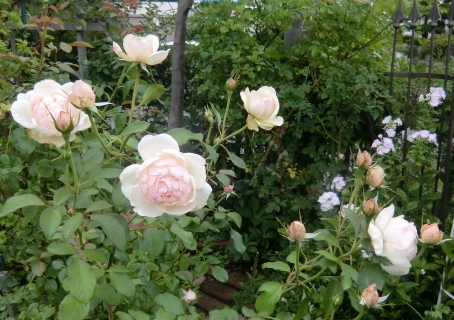 c0078586_20182947.jpg