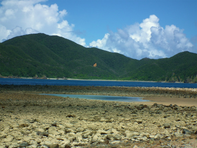 e0028387_2249232.jpg