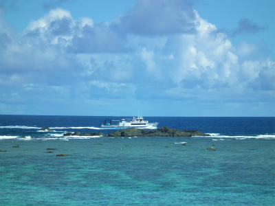 e0028387_2258992.jpg
