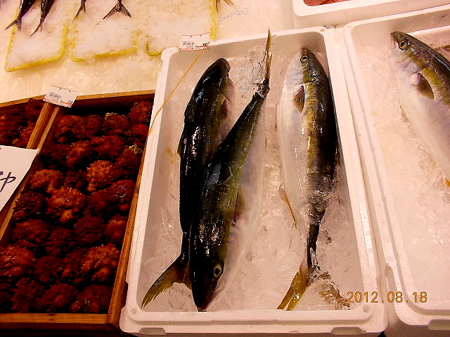 a0007388_11214337.jpg