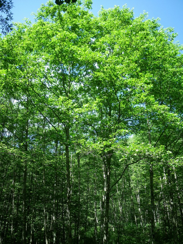 f0129994_175535100.jpg