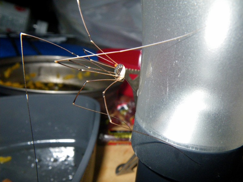 f0129994_1895399.jpg