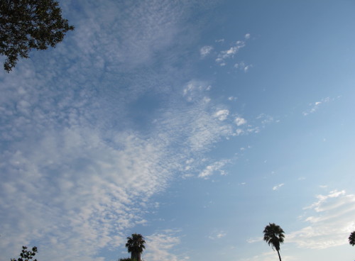 a0127398_1552270.jpg