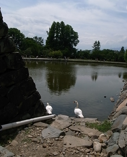 e0043700_2114138.jpg