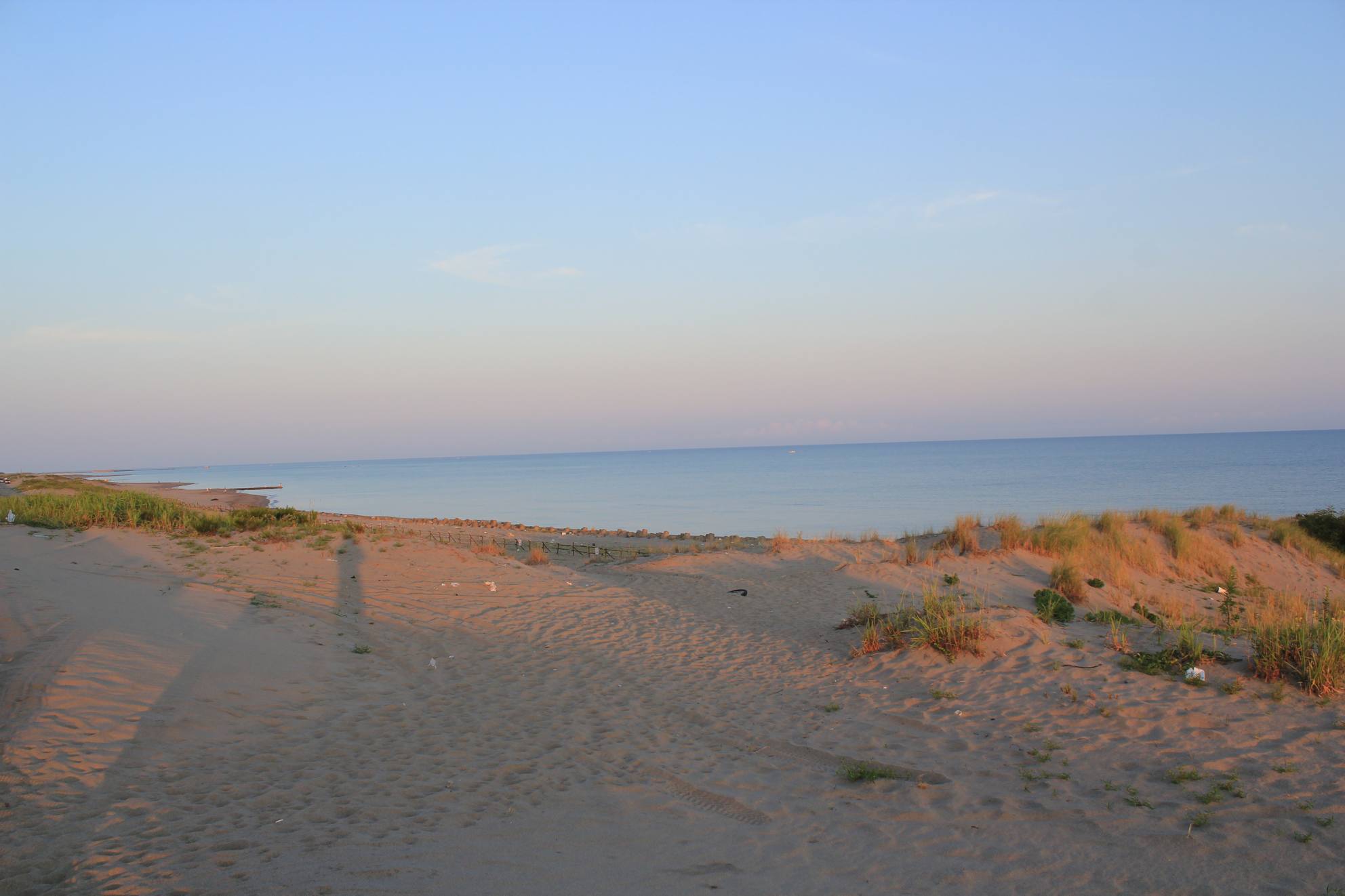 a0264604_9112584.jpg