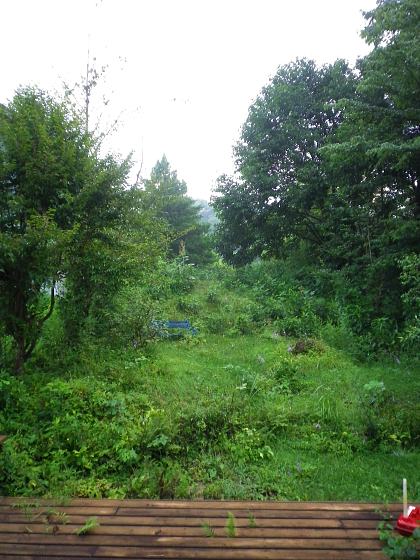 f0065604_2332059.jpg