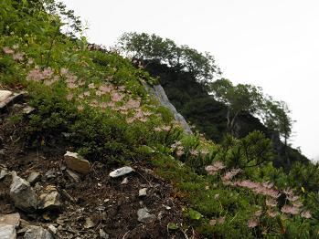 d0032405_22201014.jpg