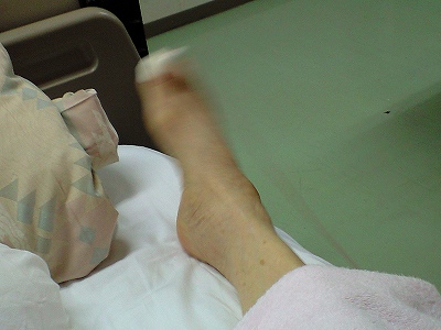 d0180506_12554929.jpg