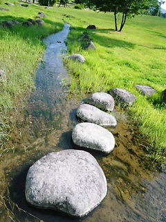 b0146611_23284884.jpg
