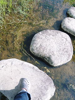 b0146611_23311913.jpg