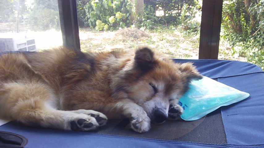 c0029913_15415984.jpg