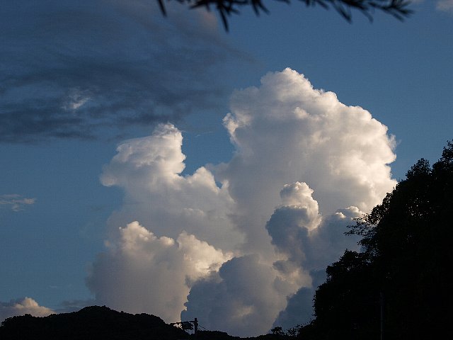 b0187620_22311766.jpg
