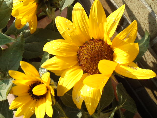 d0008724_0172333.jpg