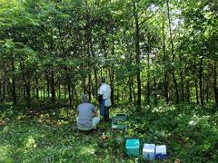 f0022024_21504858.jpg