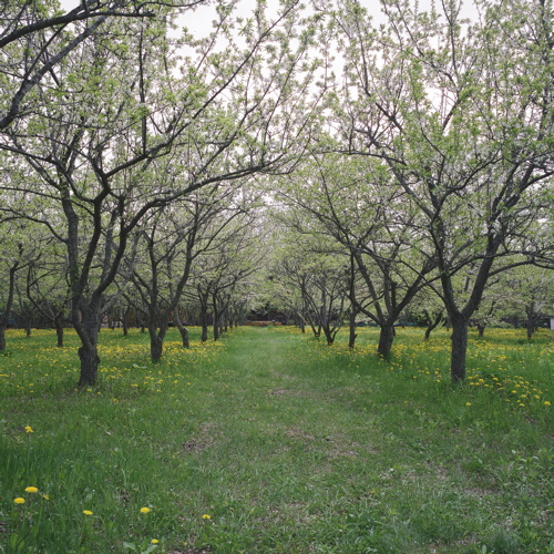 f0182924_21471070.jpg