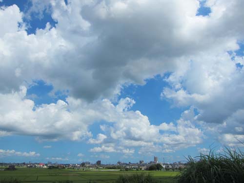 f0147025_201361.jpg