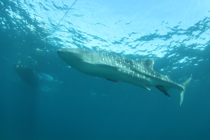 c0034029_742497.jpg