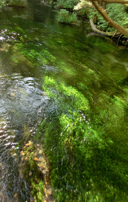 a0126632_1649563.jpg
