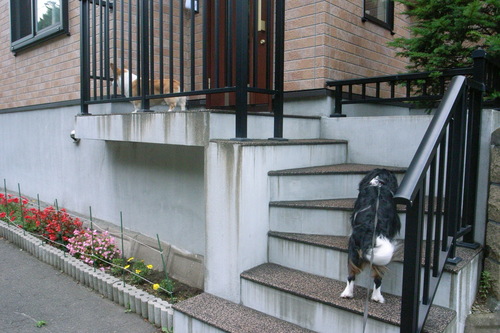 c0051132_21394539.jpg
