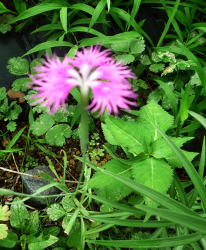 d0037233_14395476.jpg
