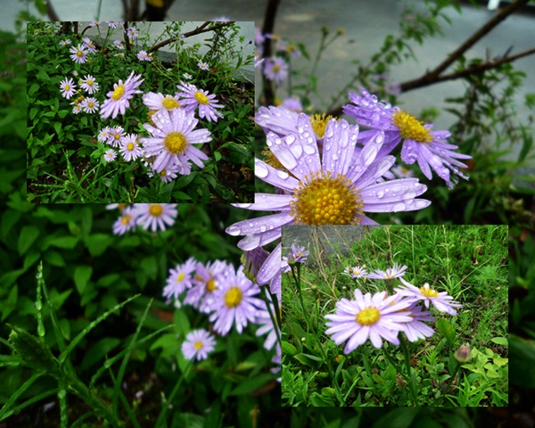 d0037233_1444379.jpg