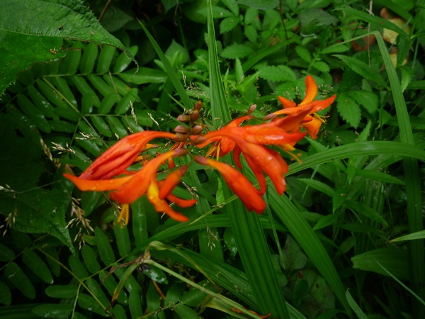 d0037233_14491862.jpg