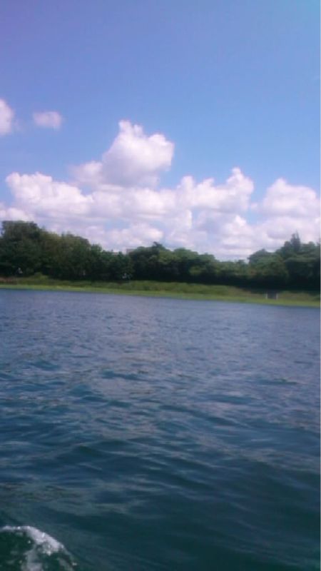 c0241434_23321949.jpg