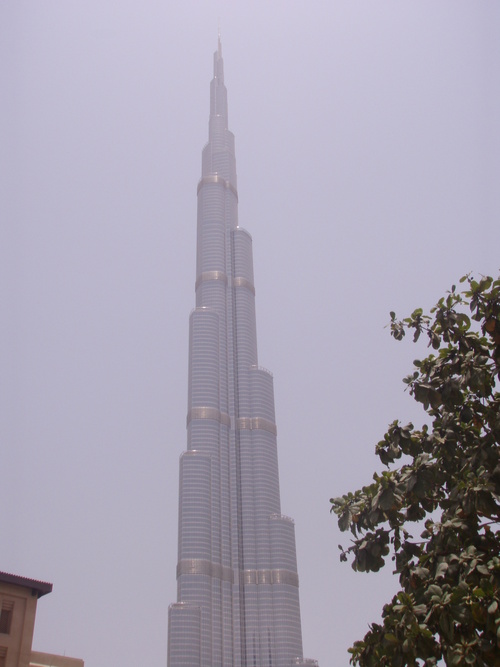 a0167338_17184079.jpg