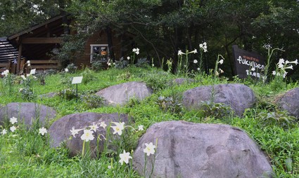 e0228938_20122237.jpg