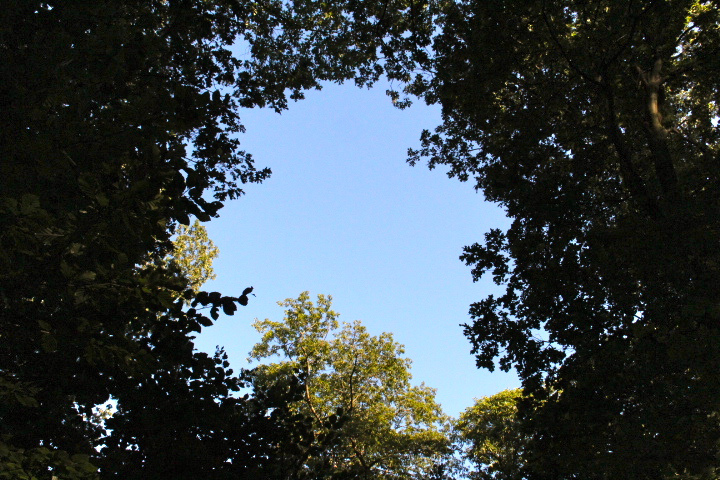 c0153740_339439.jpg