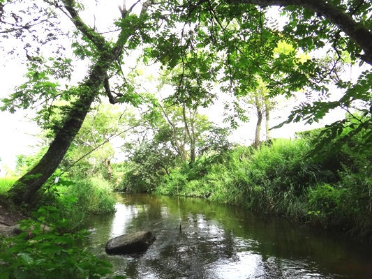 e0119840_143394.jpg