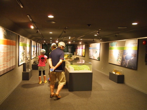 b0199742_2050830.jpg