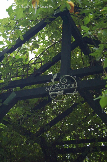 e0285347_22534135.jpg