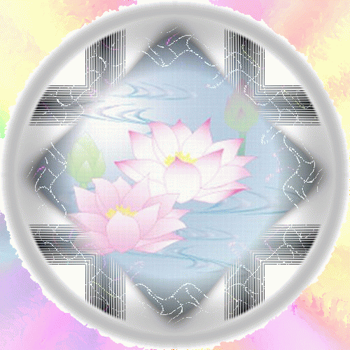 b0133752_23135265.gif