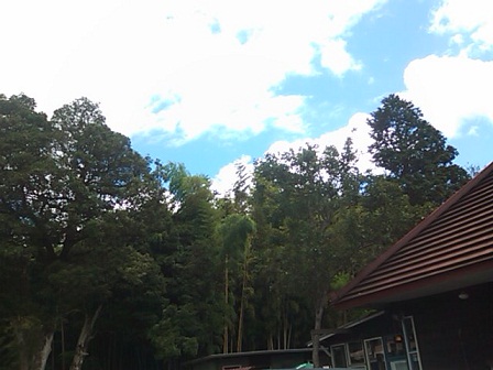 d0158258_21114211.jpg